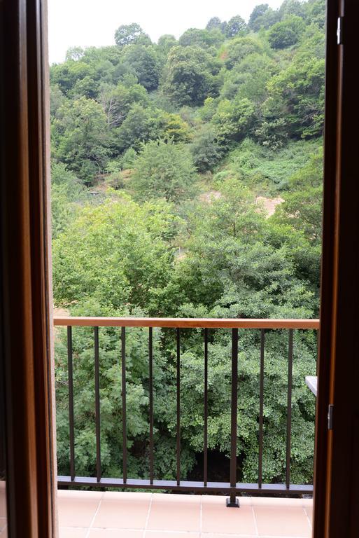 Apartamentos El Rincon De Limes Cangas De Narcea Δωμάτιο φωτογραφία