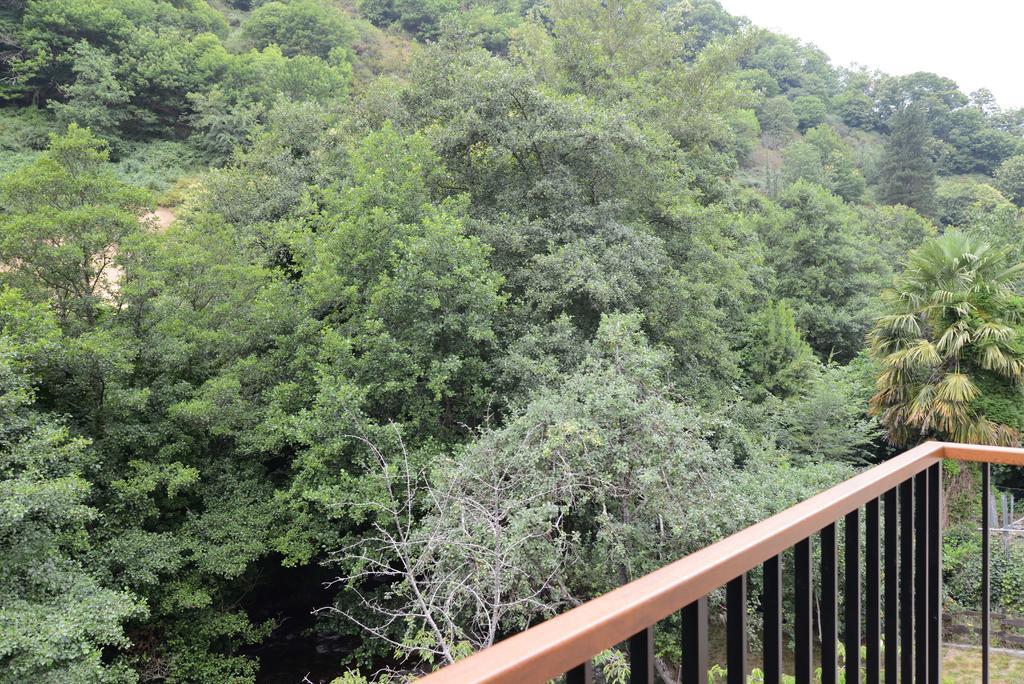 Apartamentos El Rincon De Limes Cangas De Narcea Δωμάτιο φωτογραφία