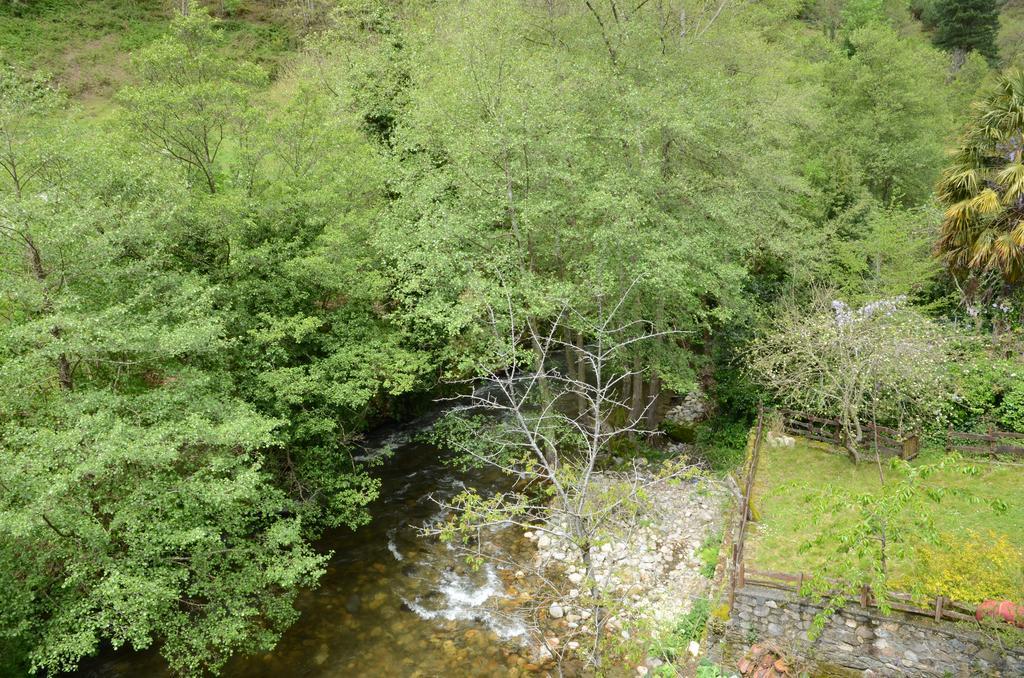 Apartamentos El Rincon De Limes Cangas De Narcea Εξωτερικό φωτογραφία