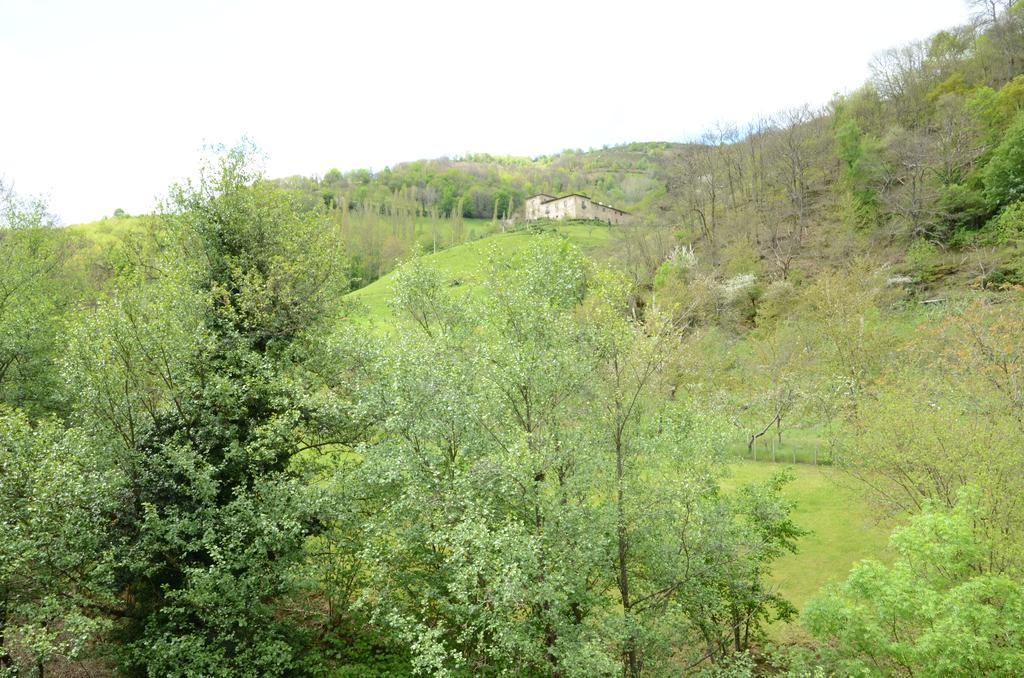 Apartamentos El Rincon De Limes Cangas De Narcea Εξωτερικό φωτογραφία
